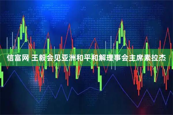 信富网 王毅会见亚洲和平和解理事会主席素拉杰