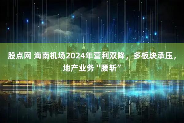 股点网 海南机场2024年营利双降，多板块承压，地产业务“腰斩”